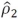 <strong>The second iteration of the Cochrane-Orcutt method for AR(1)involves</strong> A)repeating the process in the first iteration for the data adjusted by and . B)repeating the process in the first iteration for the data adjusted by . C)re-estimating following the process in the first iteration. D)re-estimating using the data lagged one period.