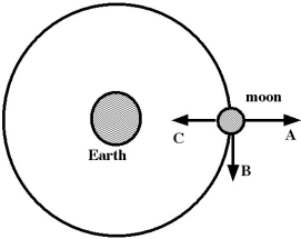   In the figure, the moon is moving clockwise in a circular orbit around Earth. Imagine that gravity was suddenly shut off, throughout the solar system, at the instant when the moon is in the position shown in the figure. How would the moon move, after gravity was shut off? A)  In the direction of arrow B, in a straight line. B)  In the direction of arrow C, in a straight line. C)  In the direction of arrow A, in a straight line. D)  It would continue moving in the same circular path. E)  Initially in the direction of arrow A, but then curving around toward the direction of arrow B.
