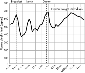 This graph shows the average plasma levels of the hormone ghrelin in 10 normal-weight individuals over the course of 24 hours. Ghrelin, which is primarily manufactured by _______, stimulates the ______ to secrete growth hormone.   A)  cells in the stomach; pituitary gland B)  neurons in the amygdala; hypothalamus C)  cells in the spinal cord; amygdala D)  stretch receptors in the stomach; pancreas