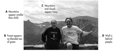 When you look at a photograph or artwork, you use a variety of visual cues to judge the distance of objects. The image depicts the author of your textbook and his daughter in Estes Park, Colorado. Which letter points to the visual cue of texture gradient?   A)  A B)  B C)  C D)  D