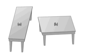 The Chapter 3 prologue story was about a man named Mike May, who recovered partial vision in one eye after being completely blind for over 40 years. After regaining partial vision, how did Mike respond to the image shown below?   A)  Unlike most people, Mike thought tabletop (b)  was longer. B)  Like most people, Mike thought tabletop (a)  was longer. C)  Mike thought the two tabletops were of identical size and shape. D)  Mike failed to perceive the separation between the two tables and saw the image as a misshaped T.