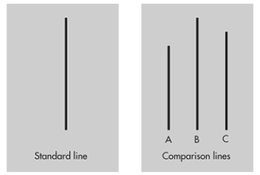 Solomon Asch set up an experimental situation in which participants were asked to identify which of three comparison lines was identical to a standard line, as shown here. His research was designed to answer a straightforward question, namely:   A)  How can conflict between groups be created, and how can harmony be established? B)  How is cognitive dissonance created, and how is it resolved? C)  Would people conform to group pressure even if the group opinion was clearly wrong? D)  Would people obey a direct command to hurt another innocent person when doing so violated their own conscience?