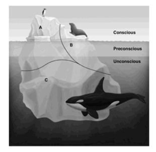This drawing depicts Sigmund Freud's famous iceberg analogy for the structure of personality. Which letter labels the personality structure that doesn't develop until about age five or six and that represents a person's conscience?   A)  A B)  B C)  C D)  The personality structure representing conscience is not depicted.