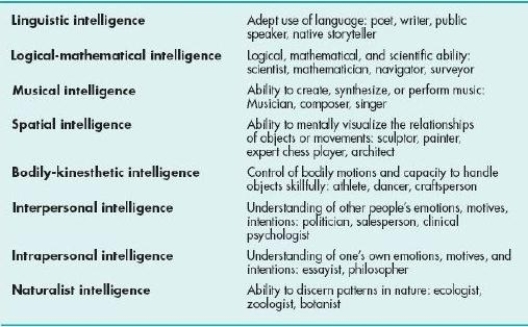 The table pictured here provides a list of eight abilities that all reflect intelligence. Which of the following theorists is most likely to endorse this view of multiple intelligences?   A) Lewis Terman B) Louis Thurstone C) Howard Gardner D) Robert Sternberg