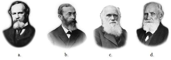 Which of the individuals pictured wrote On the Origin of Species, a book thatprovided a compelling account of evolution through the mechanism of naturalselection?   A) a B) b C) c D) d
