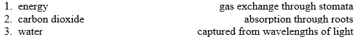 Match the reactants of photosynthesis with the correct sources.  <div style=padding-top: 35px> 
