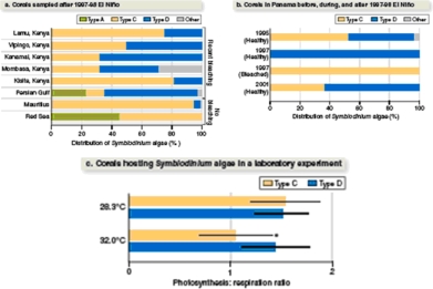 figure 38.24   -In Figure 38.24 c how did the scientists measure photosynthesis? A) By the decrease in carbon dioxide concentration B) By the decrease in oxygen concentration C) By the increase in oxygen concentration D) By the increase in carbon dioxide concentration E) By absorption of light
