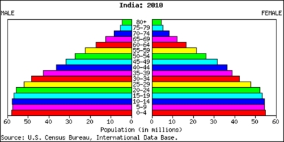   -Based upon the population pyramid above you would expect the Indian population to: A) Shrink B) Stay constant C) Grow and then stabilize D) Grow exponentially