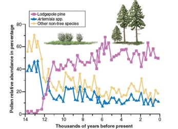 figure 18.18   -In suggesting alternative hypotheses to explain figure 18.18,your lab partner states that perhaps mosses didn't evolve until recently,which is why they increase after herbs and shrubs.Which of the following would be the best response to your lab partner? A) Mosses were actually the first land plants to appear B) Mosses are better adapted to dry climates C) All land plants appeared at roughly the same time D) If you look carefully at the graph, there were a few mosses present 300,000 years ago, so they probably arose then E) Mammoths probably ate the mosses, so they did not appear until after the mammoths went extinct