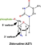   -Given the structure of the anti-HIV drug azidothymidine (AZT) ,how do you think it blocks viral replication? A) It blocks RNA synthesis B) It inhibits host T cells from replicating C) It inhibits the assembly of new viruses in the cell D) It blocks DNA synthesis E) It prevents HIV from entering the cell