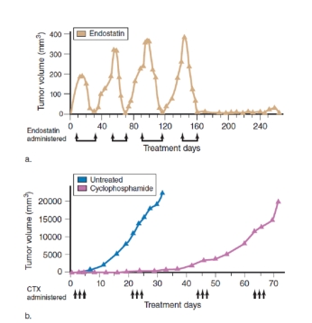 figure 8.26   -What is the dependent variable in figure 8.26? A) The volume of the tumor in humans B) Treatment days C) Treatment with endostatin D) Treatment with cyclophosphamide E) The volume of the tumor in mice