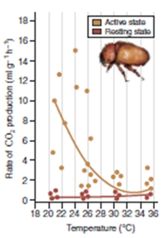 figure 6.14   -What is the dependent variable in figure 6.14? A) Temperature B) Rate of oxygen production C) Amount of pollen collected D) Rate of carbon dioxide production E) Glucose production