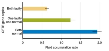 What is the dependent variable in figure 4.24?   A) The number of defective copies of the CFTR gene in mice B) The number of defective copies of the CFTR gene in humans C) The amount of fluid in the intestines D) Whether or not the subjects were exposed to cholera toxin E) Whether or not the subjects were exposed to Vibrio cholera bacteria