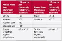 In Table 2.7 why were amino acids analyzed for <sup>15</sup>N? A) Nitrogen is not present in nucleotides or carbohydrates B) Nitrogen is not present in nucleotides or lipids C) Nitrogen is not present in carbohydrates or lipids D) Nitrogen is not present in amino acids or carbohydrates E) Nitrogen is not present in nucleotides or amino acids