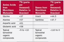 Which of the following conclusions can be made from Table 2.7?   A) Glycine is a more abundant amino acid in the meteorite than in terrestrial samples B) <sup>15</sup>N is more abundant in amino acids from the meteorite than from terrestrial samples C) Amino acids in the meteorite contain more nitrogen than amino acids from terrestrial samples D) <sup>13</sup>C is more abundant in amino acids from the meteorite than from terrestrial samples E) Uracil is a more abundant amino acid in the meteorite than in terrestrial samples