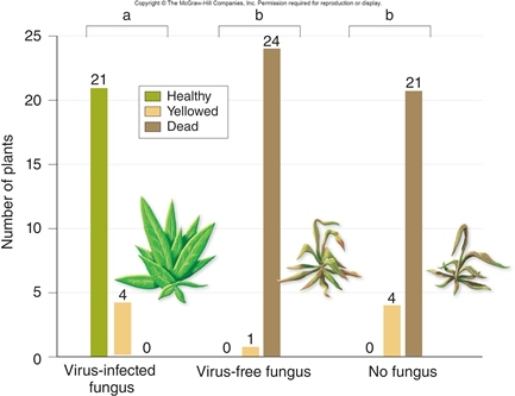 <strong>Figuer:   What is the dependent variable in this figure?</strong> A) number of plants that died at 65°C B) number of plants that died at 37°C C) number of plants that could grow at 37°C D) number of plants that could grow at 65°C <div style=padding-top: 35px> 