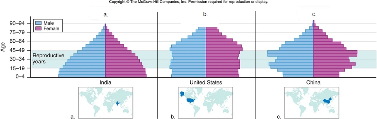 <strong>Figuer: The insets below show the age structures of India, the United States, and China. Based upon the population pyramid shown above,you would expect the Indian population to</strong> A) grow and then begin to stabilize. B) shrink. C) grow exponentially. D) stay constant.