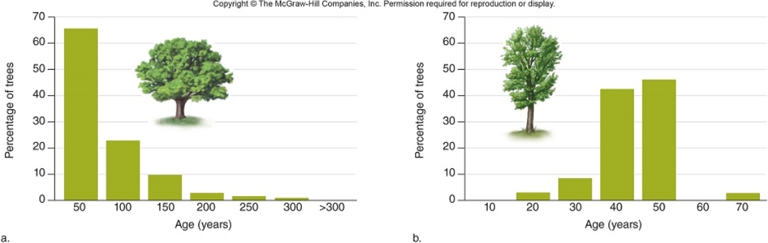 <strong>In comparison of the white oak (left)and the cottonwood (right)age structures shown,what conclusion(s)can be drawn? </strong> A) The next decade will likely result in many white oaks dying off. B) In the next decade, many white oaks will survive, while many cottonwoods will die. C) Many white oaks will likely survive the next decade. D) The next decade will likely result in many cottonwoods dying off. E) Many cottonwoods will likely survive the next decade.