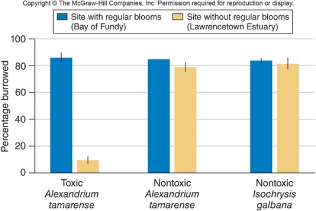 <strong>Figuer: In the figure,which of the following was the dependent variable?</strong> A) concentration of saxitoxin fed to the clams B) rate of Na<sup>+</sup> flow across the membrane of the clam neuron C) ability of clams to burrow D) location from which the clams were isolated E) species of algae fed to the clams