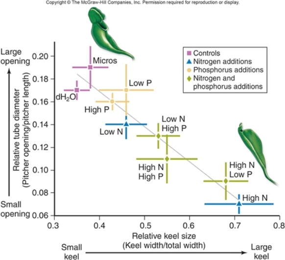 <strong>Figuer:   When Ellison and Gotelli manipulated concentrations of nutrients available to pitcher plants,what was the independent variable?</strong> A) amount of nitrogen or phosphorus added to the pitcher of each plant B) number of insects fed to each plant C) ratio of the pitcher opening to pitcher length D) amount of nitrogen or phosphorus added to the roots of each plant E) ratio of the keel width to total width <div style=padding-top: 35px> 