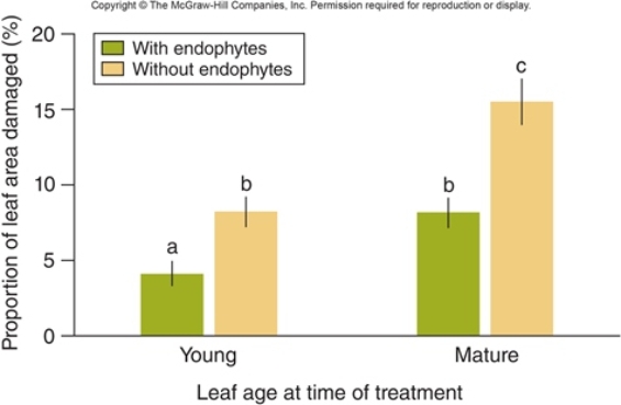 Figuer:   -In the figure,what was the dependent variable? A)  the percent of the leaf area damaged B)  the age of the leaf C)  the presence or absence of the pathogen Phytophthora D)  the presence or absence of endophyte spores E)  the percent of the leaf area containing endophytes
