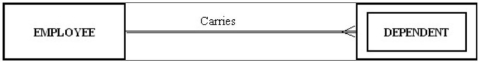 The following figure shows an example of:   A)  a one-to-many relationship. B)  a strong entity and its associated weak entity. C)  a co-dependent relationship. D)  a double-walled relationship.