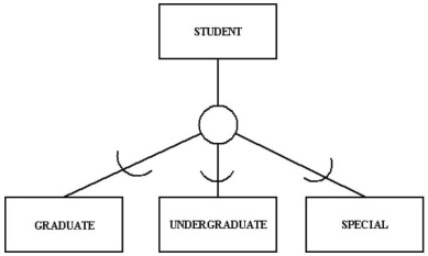 In the figure below,a student:   A)  must be a graduate student, an undergraduate, a special student or some other type of student. B)  must be a graduate student or an undergraduate student. C)  must be at least a special student. D)  none of the above.