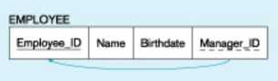 In the figure below,what type of key is depicted?   A)  Primary B)  Recursive primary C)  Composite D)  Recursive foreign