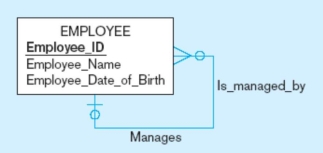 In the figure below,each employee has exactly one manager.   