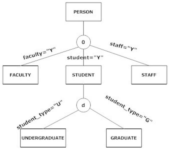 The following figure shows a:   A)  disjoint constraint. B)  completeness constraint. C)  supertype/subtype hierarchy. D)  spindle constraint.