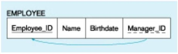 In the figure below, what type of key is depicted?   A)  Primary B)  Recursive primary C)  Composite D)  Recursive foreign