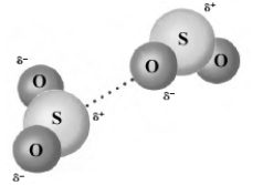 The dotted line in the following images shows the formation of hydrogen bonds.  