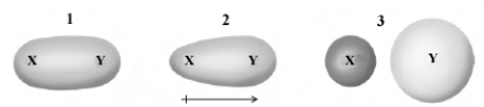Consider the image given below which depicts bonds formed between two generic elements, X and Y.   a.1 b.2 c.3 -Which bond type would represent that found in I<sub>2</sub>?
