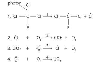 Consider the following sequence of reactions.   The reason that low concentrations of CFCs can destroy major amounts of ozone is due to the production of a the reactive Cl species in this sequence.