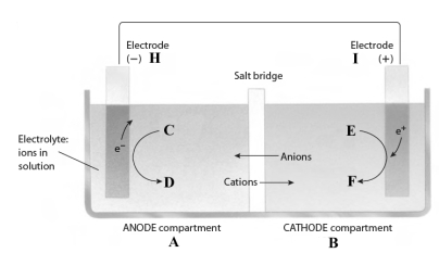  Consider the following reaction. 3Fe<sup>2+</sup>(aq) + 2Al(s)  \to   3Fe(s) + 2Al<sup>3+</sup>(aq) This reaction takes place in the electrochemical cell shown below.    Complete the following questions using the letters shown in the image. -If the electrolyte contains nitrate ions, they will move from compartment ___ to compartment ___. 