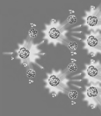  Consider the following atomic level depiction of a reaction.    This reaction A)  is a fusion reaction. B)  would be an example of a chain reaction. C)  is initiated by  \alpha  decay. D)  utilizes the most abundant isotope of uranium 