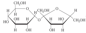 For questons 1-7, consider the molecular structure given in each question, then complete the statement with one of the following terms. carbohydrate protein nucleic acid lipid -The following structure would be classified as a ________________.  