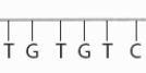 For questons 1-7, consider the molecular structure given in each question, then complete the statement with one of the following terms. carbohydrate protein nucleic acid lipid -Consider the following representation of a strand of DNA.   The letter code of the complementary strand is _____________.