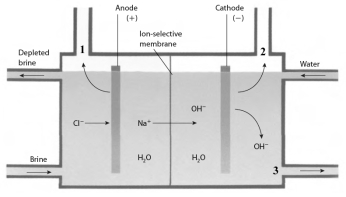 Examine the chloralkali cell given below.   Answer the following questions with the identity of the chemical substance indicated. -The compound that is used as the reactant in the cell, indicated by the term brine, is ______________.