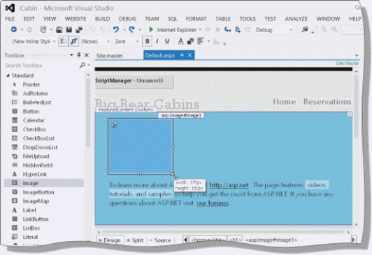 As shown in the accompanying figure,you can use a(n)____________________ object to display a picture in an ASP.NET 4.5 Web page.  