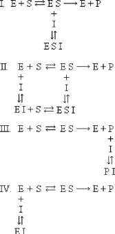 Which equilibrium below applies to noncompetitive inhibition?   A)  I B)  II C)  III D)  IV