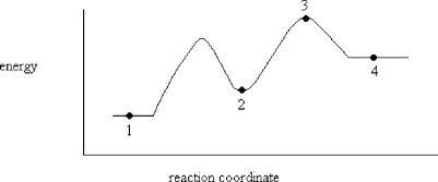 On the energy diagram below, which point represents an intermediate?   A)  Point 1 B)  Point 2 C)  Point 3 D)  Point 4
