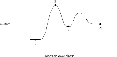 An enzyme stabilizes the transition state that is bound in the active site. What effect will this have on the energy diagram below? The diagram shown below is for the uncatalyzed reaction.   A)  Energy of point 1 is raised. B)  Energy of point 2 is raised. C)  Energy of point 2 is lowered. D)  Energy of point 3 is lowered. E)  Energy of point 4 is raised.