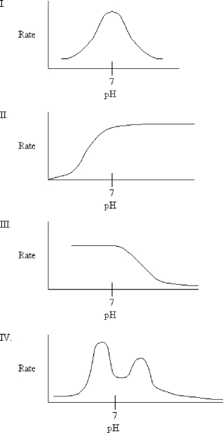 Which graph might you expect for the pH profile of an enzymeʹs activity if the only ionizable residue in the active site is aspartate?   A)  I B)  II C)  III D)  IV