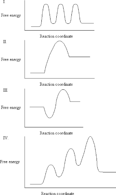 The graphs below all represent the same chemical reaction, but each employing a different catalyst. Which enzyme uses the most efficient mechanism of catalysis?   A)  see graph I B)  see graph II C)  see graph III D)  see graph IV