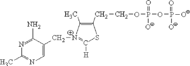 The structure shown below is which coenzyme?   A)  QH<sub>2</sub><sub> </sub> B)  Vitamin B<sub>12</sub> C)  Biotin D)  Thiamine pyrophosphate