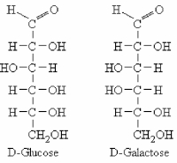 The Fischer projections of linear D-glucose and D-galactose are shown below. These two molecules are .   A)  epimers B)  enantiomers C)  anomers D)  structural constitutional)  isomers