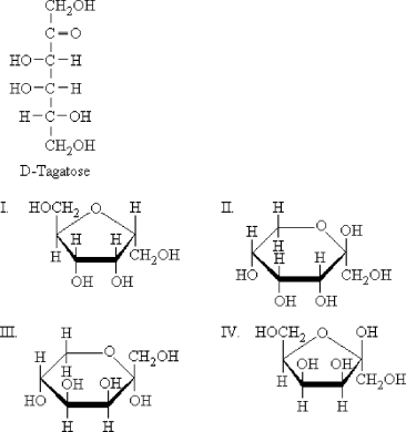 Which is a product of the intramolecular cyclization of D-tagatose to form a furanose?   A)  I B)  II C)  III D)  IV