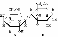 The structure of a disaccharide is shown below. Which statement applies?   A)  Both rings A and B are in equilibrium with an open chain form. B)  Only ring A is in equilibrium with an open chain form. C)  Only ring B is in equilibrium with an open chain form. D)  Neither ring is in equilibrium with an open chain form.
