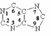The purine ring system is shown below. What is the source of the N-1 atom during de novo biosynthesis of purines?   A)  glycine B)  glutamine C)  aspartate D)  arginine